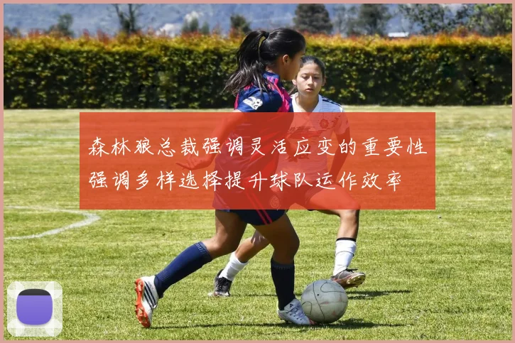 森林狼总裁强调灵活应变的重要性强调多样选择提升球队运作效率