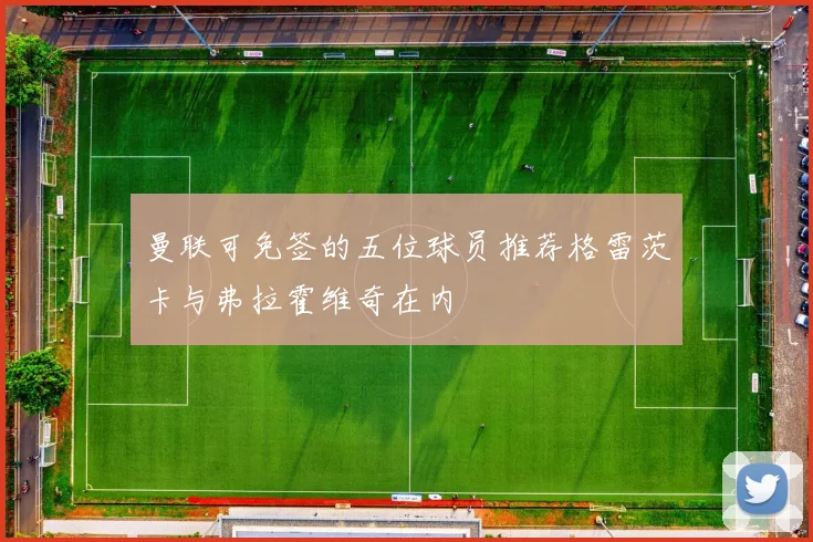 曼联可免签的五位球员推荐格雷茨卡与弗拉霍维奇在内