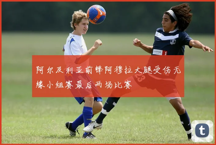 阿尔及利亚前锋阿穆拉大腿受伤无缘小组赛最后两场比赛